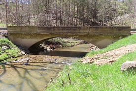 Photo of Sawmill Ribbed Arch Bridge