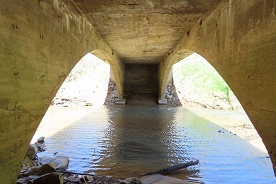 Photo of Sawmill Ribbed Arch Bridge