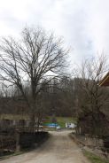 Photo of Crawford Deck Arch Bridge