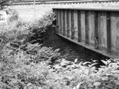 Photo of Linkous Park Bridge