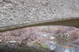 Photo of Log Cabin Bridge