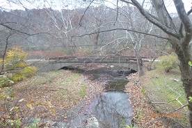 Photo of Log Cabin Bridge