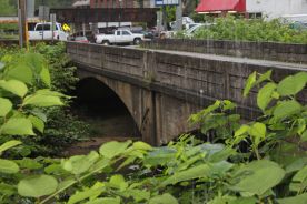 Photo of Mount Gay Deck Arch Bridge