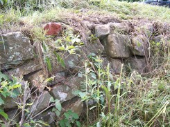 Photo of Tanyard-Little Sewell Road Box Culvert